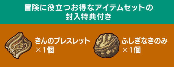 [冒険に役立つお得なアイテムセットの封入特典付き]きんのブレスレット×1個 / ふしぎなきのみ×1個